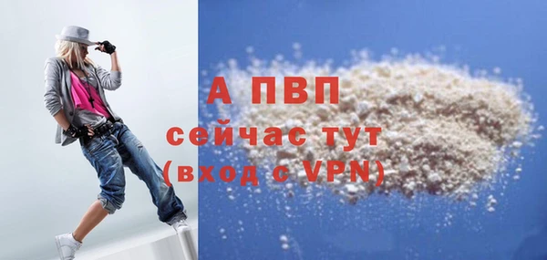 спиды Кукмор