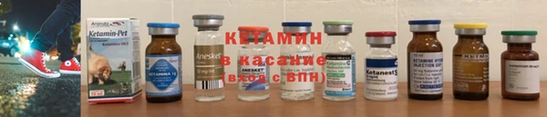 спиды Кукмор