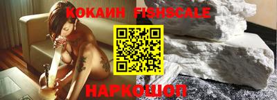 крисы Кулебаки