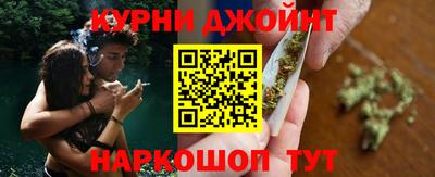 крисы Кулебаки