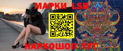 крисы Кулебаки