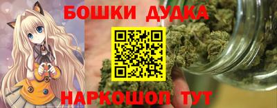 крисы Кулебаки