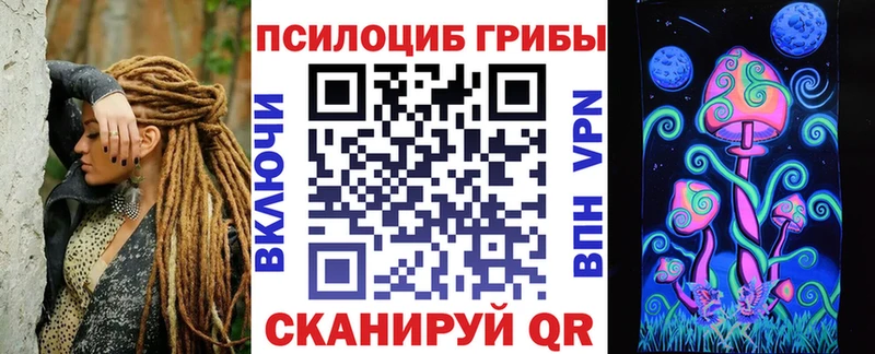 цена   Ханты-Мансийск  Псилоцибиновые грибы Psilocybine cubensis 