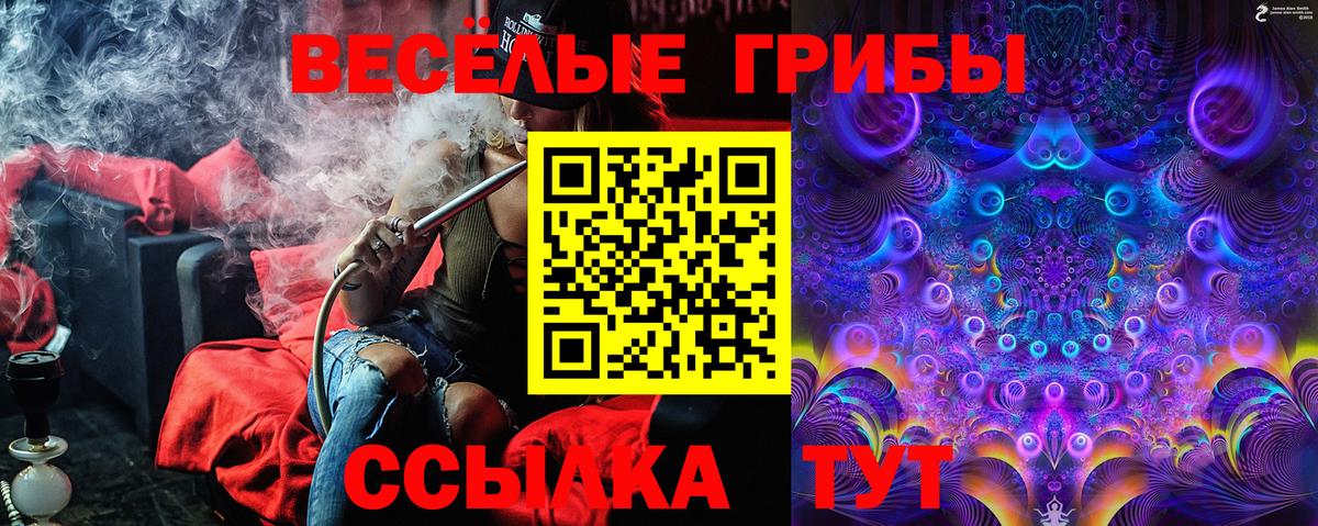 закладки  Вход с VPN  Галлюциногенные грибы Psilocybe  Ханты-Мансийск  Псилоцибиновые грибы мухоморы 