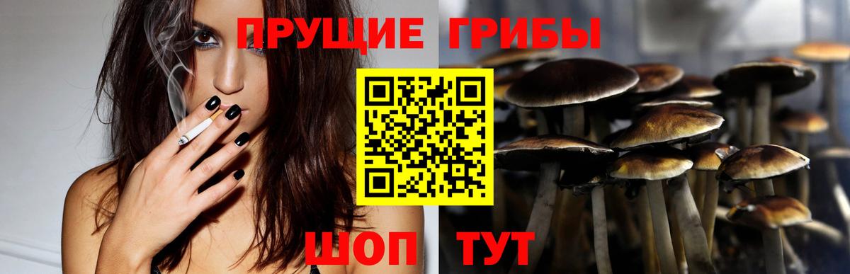 Галлюциногенные грибы GOLDEN TEACHER  наркота  Галлюциногенные грибы ЛСД  Ханты-Мансийск 